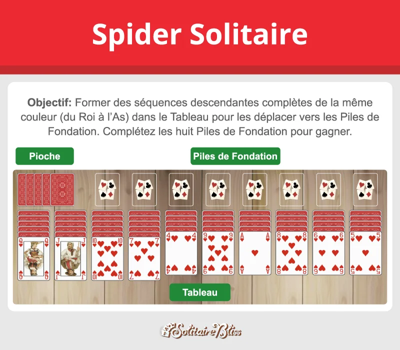 Disposition et objectif du Spider solitaire